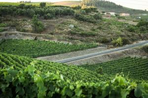 Afbeelding uit fotogalerij van Casa da Seara in Casal de Loivos