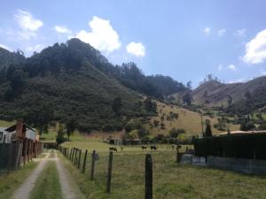 un camino de tierra en un campo con montañas en el fondo en Comfort Campestre, en Tabio