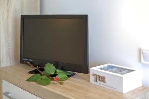 TV a/nebo společenská místnost v ubytování Apartments Brankica