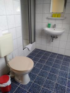 a bathroom with a toilet and a sink at Pension und Gasthof Zur Scheune in Flecken Zechlin