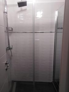 W łazience znajduje się prysznic ze szklanymi drzwiami. w obiekcie Holiday home Ivan w mieście Žaborić