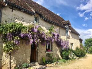 a cottage covered in wisteria on the side of it at Le Grand Coudreau in Nazelles