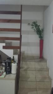 a staircase with a potted plant in a room at 3 Kitnets in Rio das Ostras
