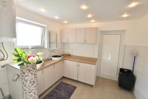 Foto dalla galleria di Domacinstvo Jovic a Kladovo Altre 65 foto