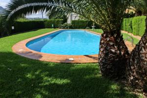 - une piscine bordée d'un palmier dans l'établissement Adosado Calist, à Dénia