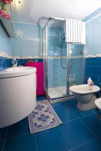 チェターラにあるStella Maris Houseの青いバスルーム(トイレ、シャワー付)