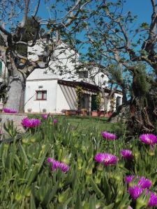 Uma casa branca com flores roxas à frente. em Silos Torrenova em Potenza Picena