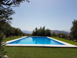 una gran piscina azul en un patio de césped en Apartamentos Rurales La Dehesa del Acebuche, en Jaén