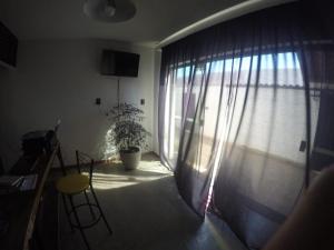 a living room with a window and a plant at Like a Hostel in Poços de Caldas