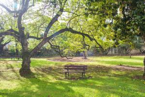 un banc sous un arbre dans un parc dans l'établissement VILLA BONVOULOIR, à Bagnères-de-Bigorre