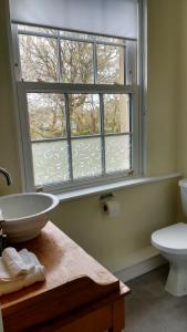 a bathroom with a window and a sink and a toilet at Reenglas House in Valentia Island