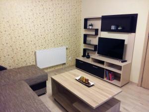 a living room with a couch and a television at Butų nuoma Šilutėje in Šilutė
