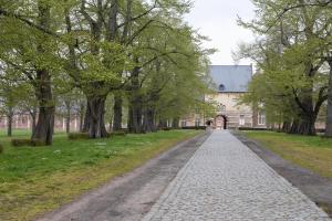 a cobblestone road in front of a building with trees at Beeltjens B&B: Wolf&Belle in Westerlo