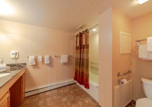 a bathroom with a toilet and a shower at Mountain Chalet Snowmass in Snowmass Village