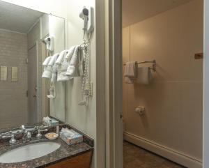 a bathroom with a sink and a mirror at Mountain Chalet Snowmass in Snowmass Village