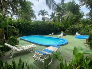 uma piscina com espreguiçadeiras e espreguiçadeiras num quintal em Luna Caribeña Village em Puerto Viejo