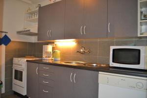 uma cozinha com armários cinzentos, um micro-ondas e um lavatório em Apartmány Holiday Pec em Pec pod Sněžkou