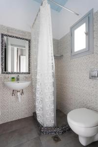 a bathroom with a shower and a toilet and a sink at Villa Christina in Spetses