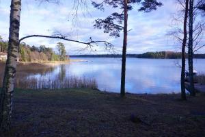 - une vue sur une grande étendue d'eau avec des arbres dans l'établissement Stenstrandintie 20 B, à Jorvas