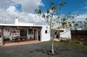 una casa blanca con un árbol en el patio en La Cuesta14, en Güime
