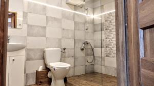 ザンクト・ゴアールスハウゼンにあるWinzerhaus Loreleyのバスルーム(トイレ、シャワー付)