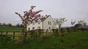 Gallery image of Laraghson House in Enniskillen