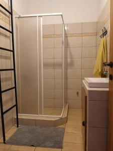 a shower with a glass door in a bathroom at Apartma Humar in Tolmin