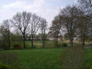 un campo con árboles y un pequeño cobertizo en la hierba en Reusenhof Am Haff en Usedom Town