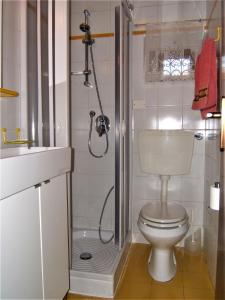 a small bathroom with a toilet and a shower at Angolo Fiorito in Florence