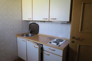A kitchen or kitchenette at Residence Scheidnerhof