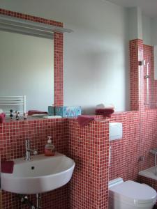 a bathroom with a sink and a toilet and a mirror at Reusenhof Am Haff in Usedom Town