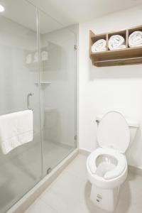 La salle de bains est pourvue de toilettes et d'une douche en verre. dans l'établissement Antaris Cintermex, à Monterrey