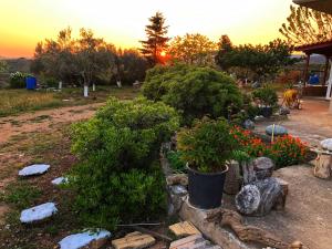 un giardino con fiori e piante in un cortile di The Hillhouse near Alexandroupolis ,Daphnee Apartment a Alexandroupoli