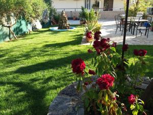 A garden outside San Georgio Hotel