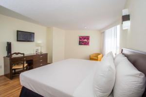 una camera d'albergo con letto bianco e scrivania di Hotel Valle de Mexico Toreo a Città del Messico