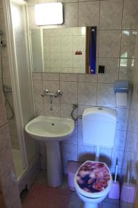 Kúpeľňa v ubytovaní Noclegi Bukowina Centrum