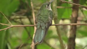 Billede fra billedgalleriet på Las Jawas Lodge i Sauce