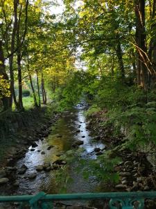 a small stream in a forest with a green fence at Love nest munster in Munster