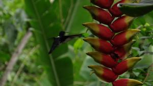 Billede fra billedgalleriet på Las Jawas Lodge i Sauce