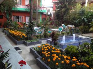 A garden outside New Pokhara Lodge - Pokhara Lakeside