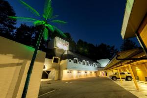 富士河口湖aloalo的棕榈树在晚上在建筑物前