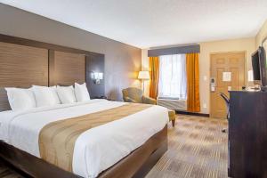 a hotel room with a large bed and a television at Quality Inn in Villa Rica