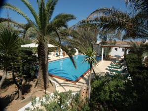 a swimming pool with a palm tree next to a house at Oasi Di Casablanca in Lampedusa