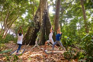 a group of people doing yoga in the woods at Taj Exotica Resort & Spa, Andamans in Havelock Island