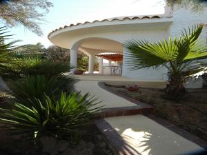 a white house with a porch and palm trees at Oasi Di Casablanca in Lampedusa