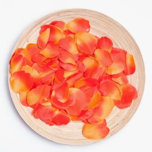 a plate of sliced peach slices on a white background at Hotel Everest in Barcelona