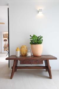 a potted plant sitting on top of a wooden table at Aparthotel Niu d´Aus in Portopetro