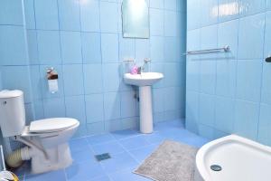 La salle de bains bleue est pourvue de toilettes et d'un lavabo. dans l'établissement Pensiunea La Safari, à Tîrgu Neamţ