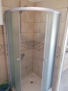 a shower with a glass door in a bathroom at Studio Apartment Mileta in Pitve +34 photos