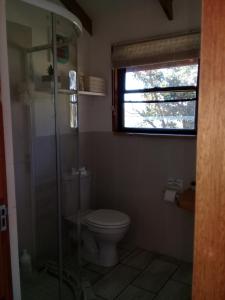a bathroom with a toilet and a glass shower at Wild fig Cottage in Sedgefield